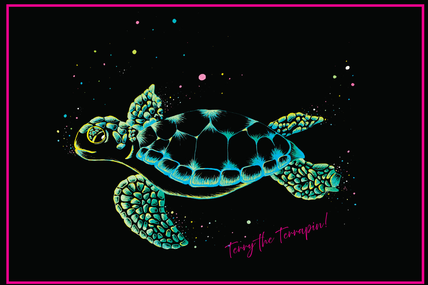 Terry The Terrapin ARTCODE TTT01