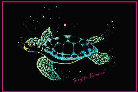 Terry The Terrapin ARTCODE TTT01